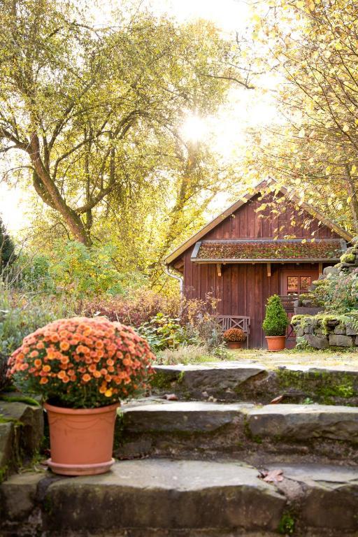 Romantik Hotel Landhaus Baerenmuehle Frankenau Exterior foto