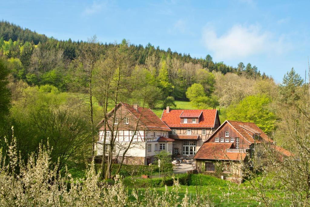 Romantik Hotel Landhaus Baerenmuehle Frankenau Exterior foto
